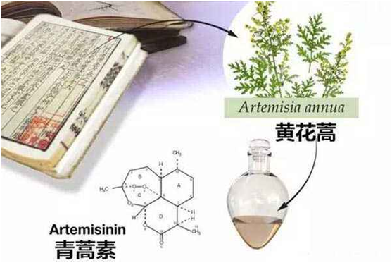 安博注册网(中国区)首页,：向中医药看齐，与世界共享中医药文化(图1)